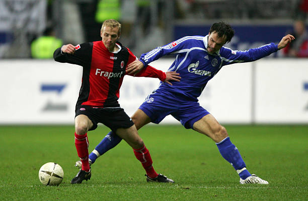 球迷认为这 球迷认为这