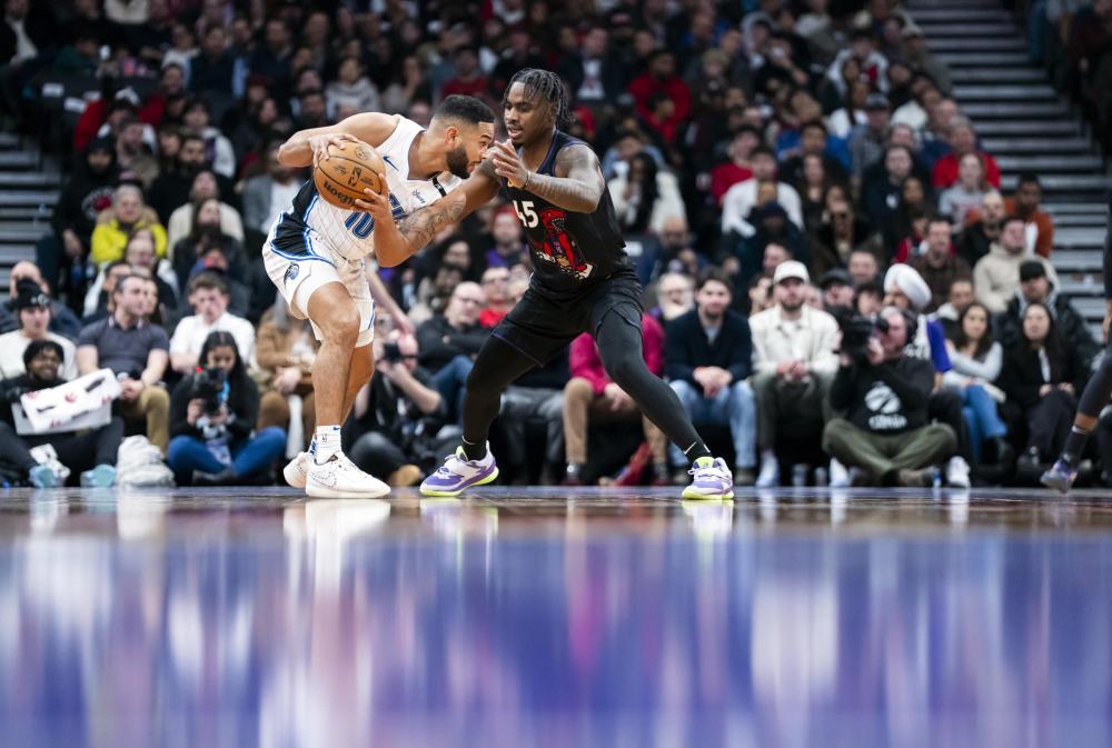 这种全面的 这种全面的